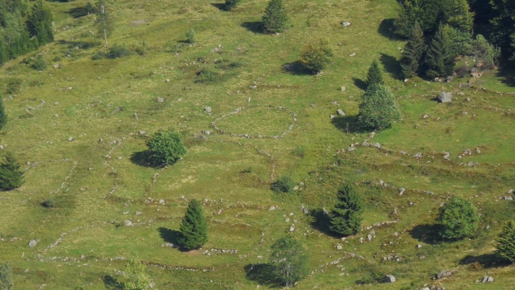 Patrimoine naturel de la commune de La Bresse - Mairie de la Bresse